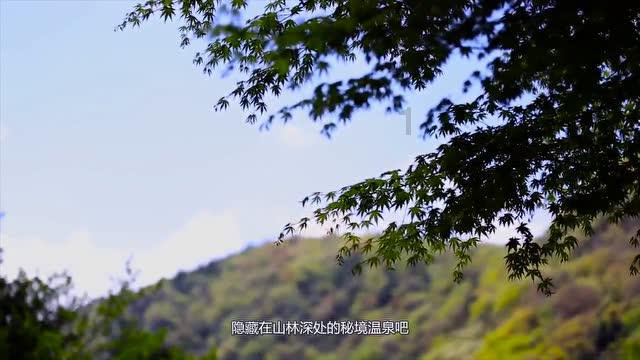 探索知识星球平台,畅享可以极大提高幸福感的洗手间的小电器有些?的学习之旅